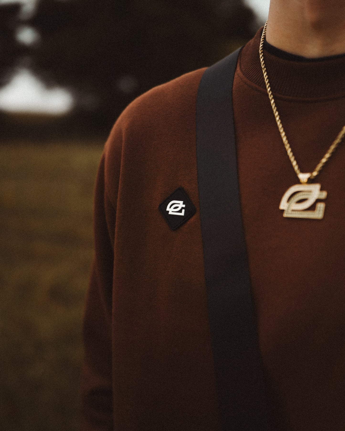 GL Fall Athletic Crewneck (Coffee)