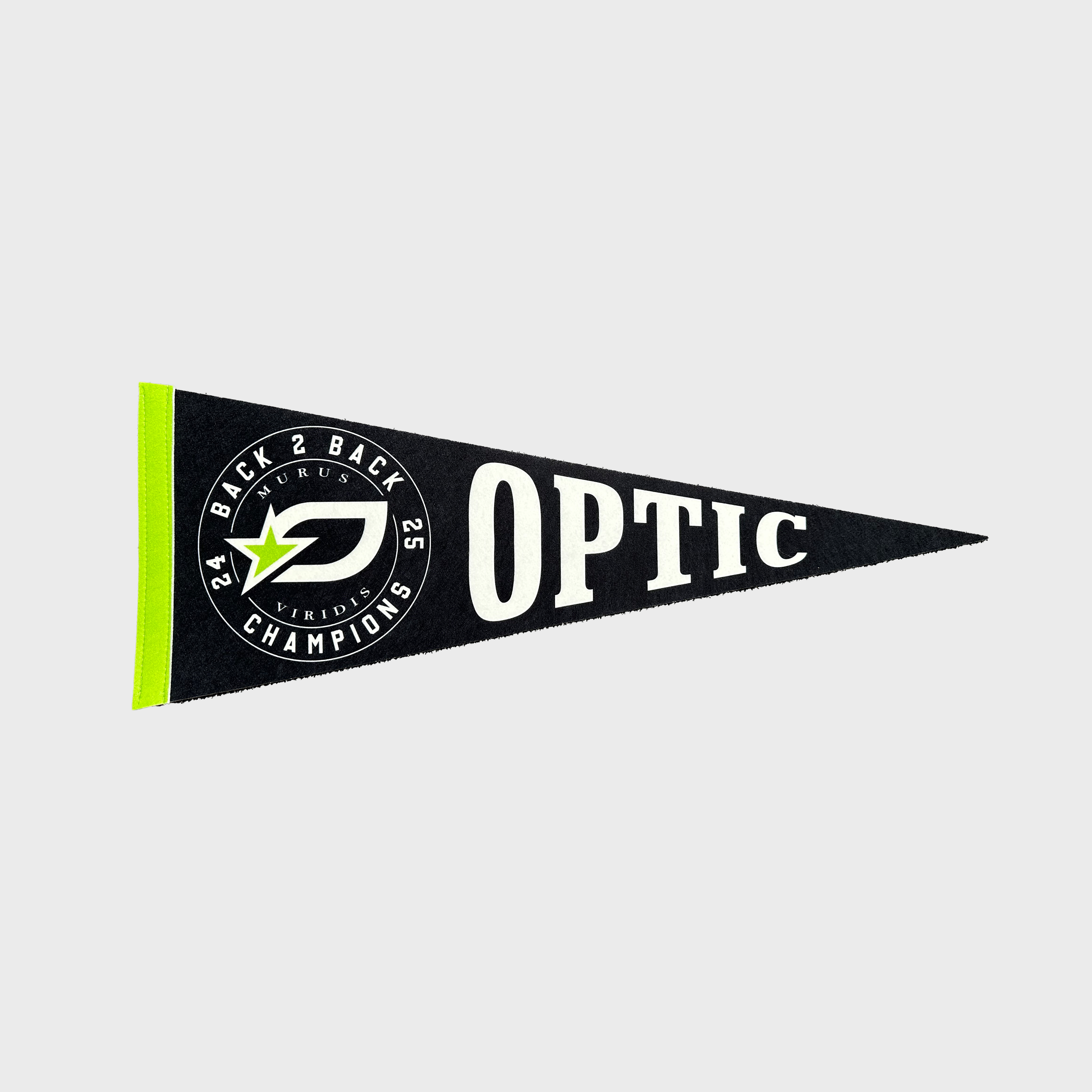 2026 Season Pennant Flag